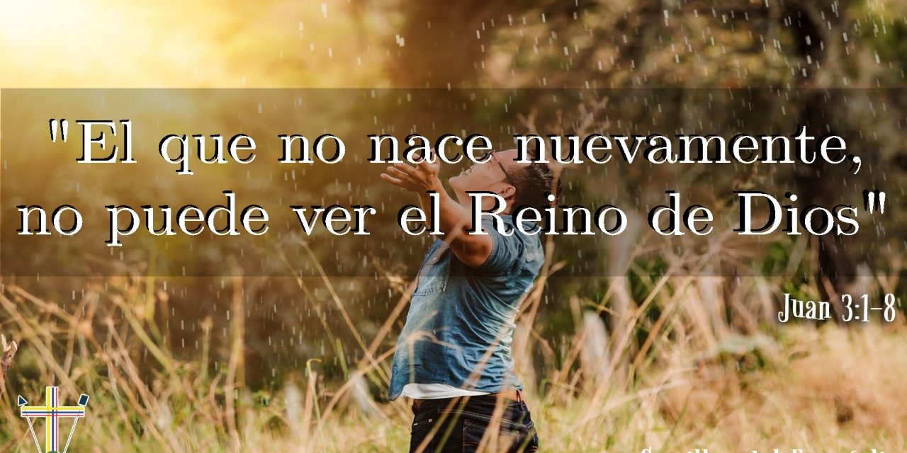 SEMILLAS DEL EVANGELIO
