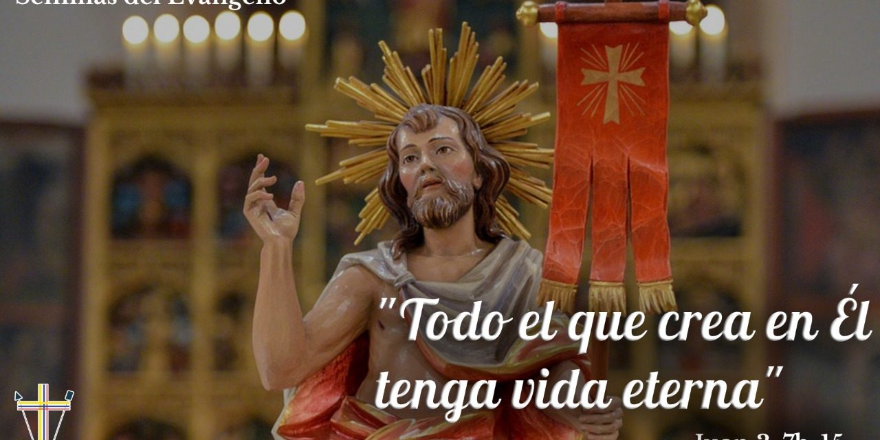 SEMILLAS DEL EVANGELIO