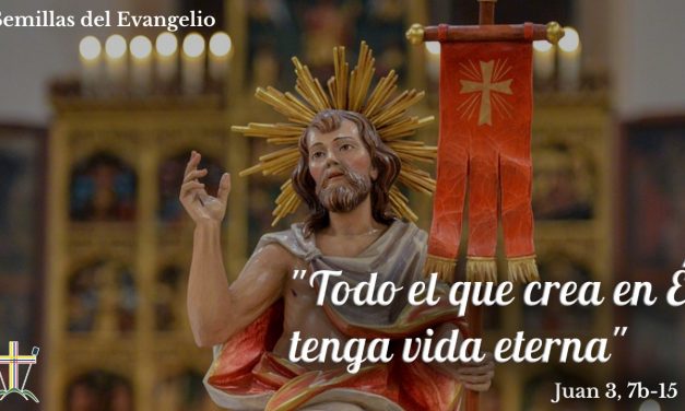 SEMILLAS DEL EVANGELIO