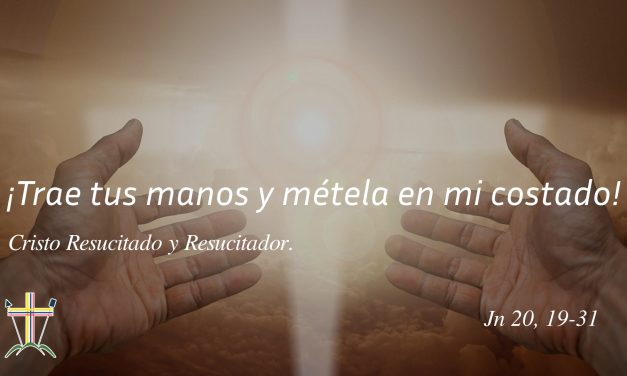 SEMILLAS DEL EVANGELIO