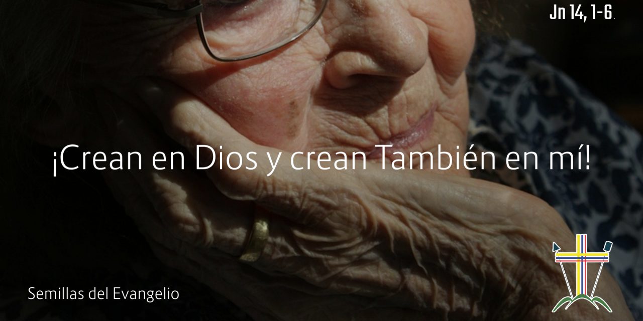 SEMILLAS DEL EVANGELIO