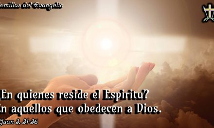 SEMILLAS DEL EVANGELIO