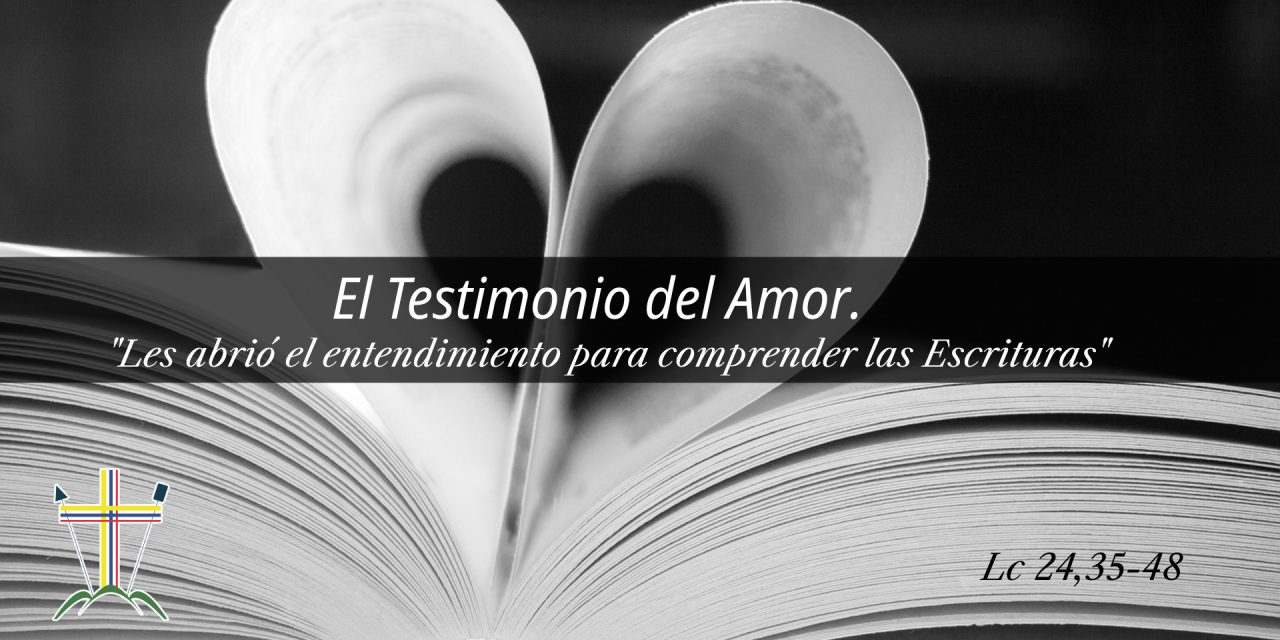 SEMILLAS DEL EVANGELIO