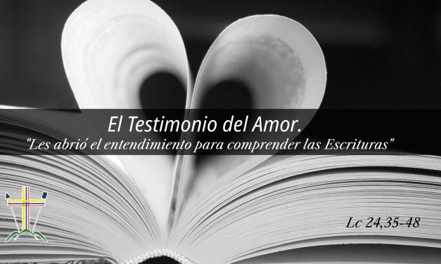 SEMILLAS DEL EVANGELIO