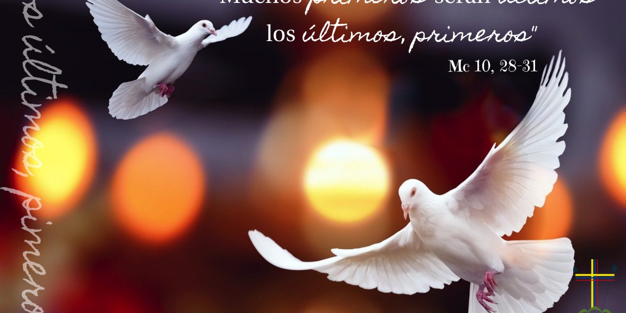 SEMILLAS DEL EVANGELIO