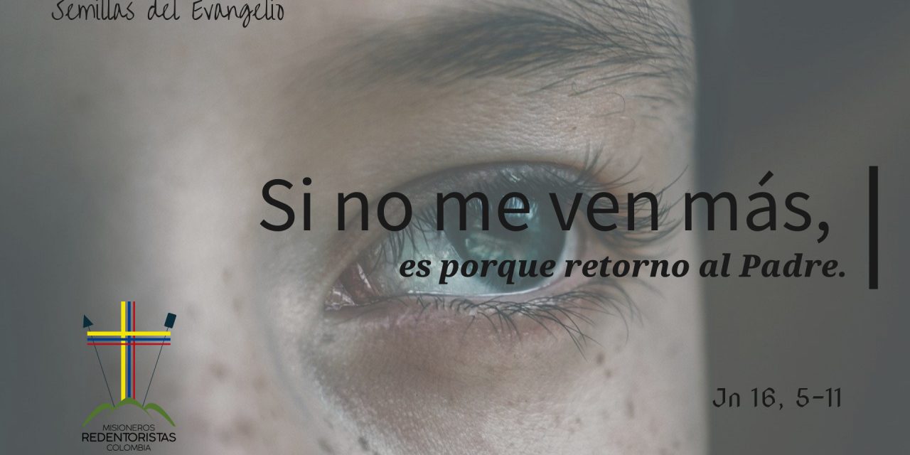 SEMILLAS DEL EVANGELIO