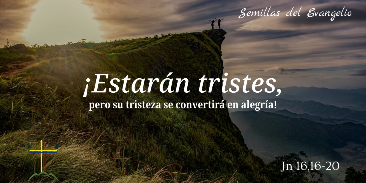 SEMILLAS DEL EVANGELIO