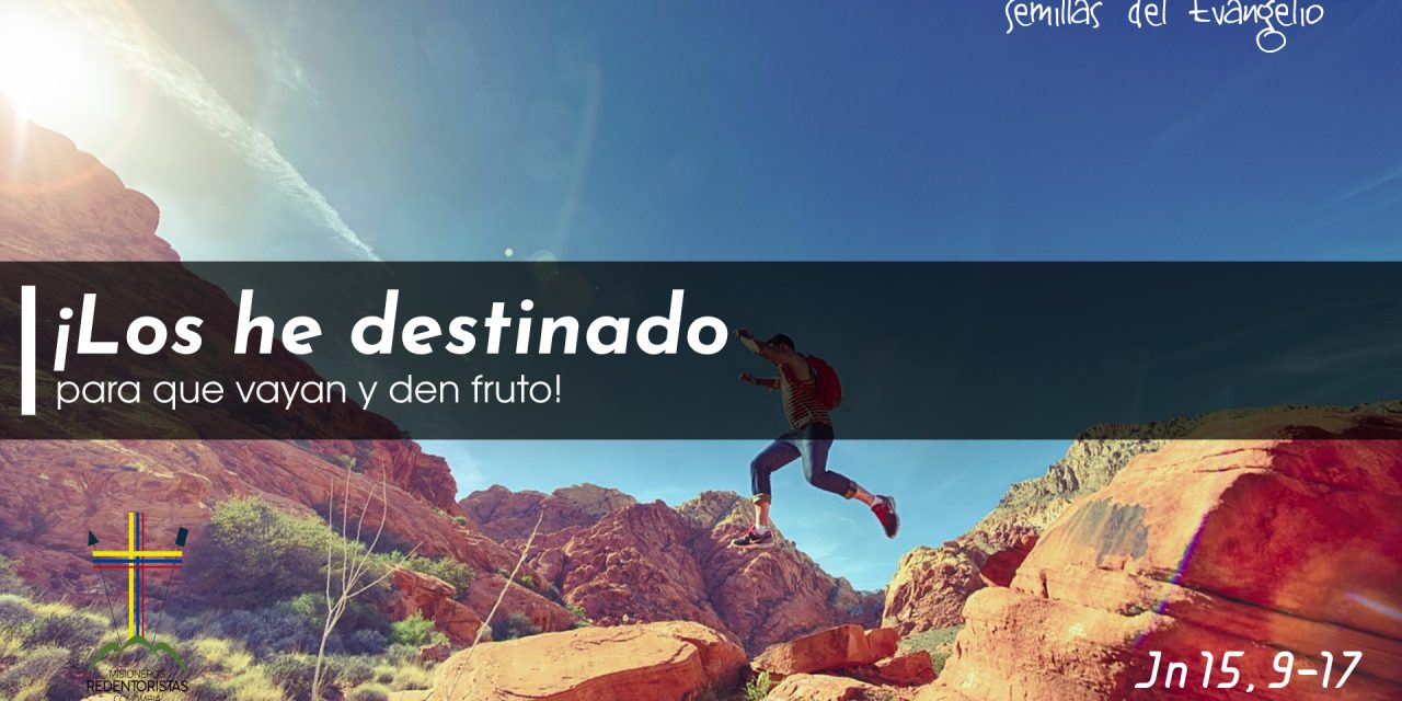 SEMILLAS DEL EVANGELIO