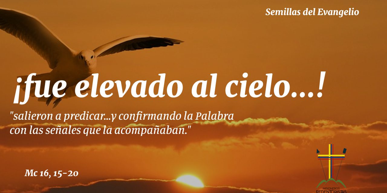 SEMILLAS DEL EVANGELIO