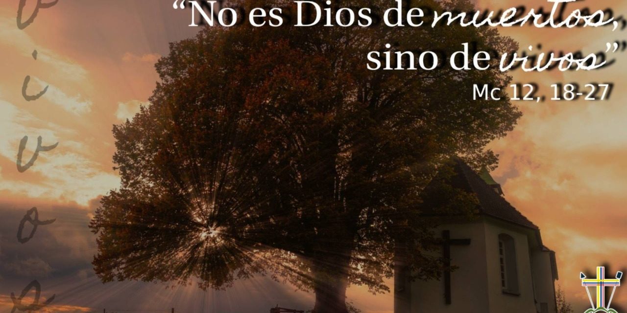 SEMILLAS DEL EVANGELIO