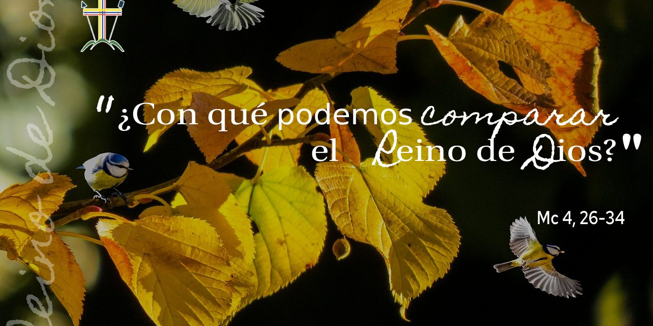 SEMILLAS DEL EVANGELIO