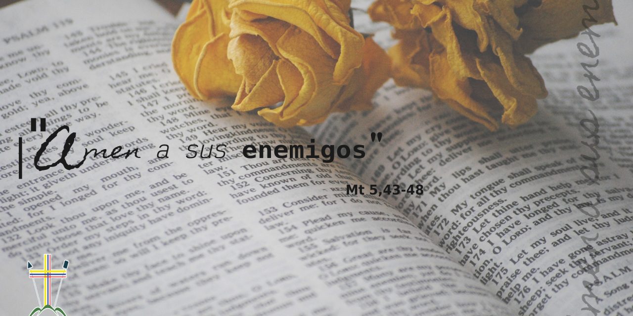 SEMILLAS DEL EVANGELIO