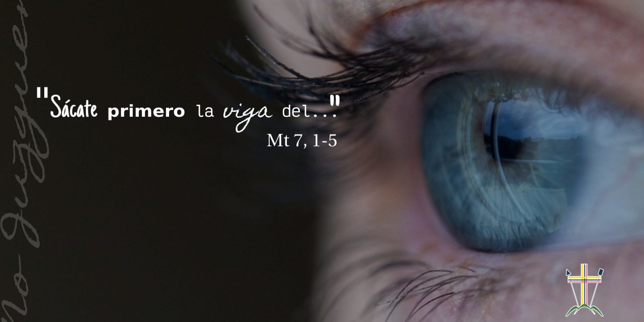 SEMILLAS DEL EVANGELIO