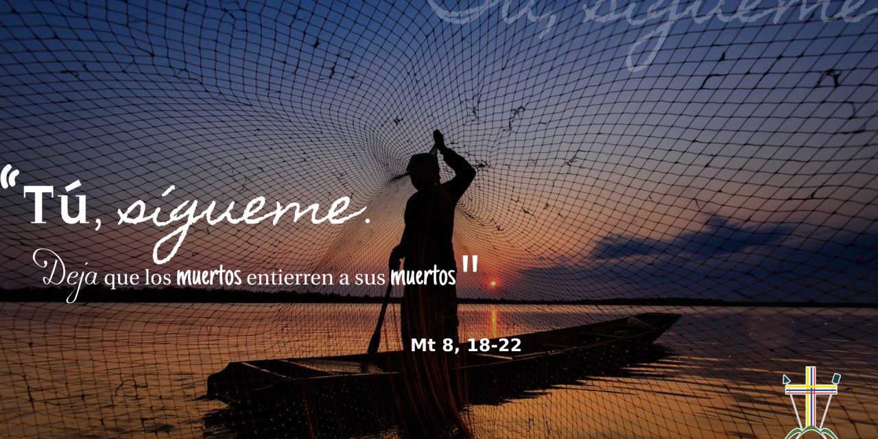 SEMILLAS DEL EVANGELIO