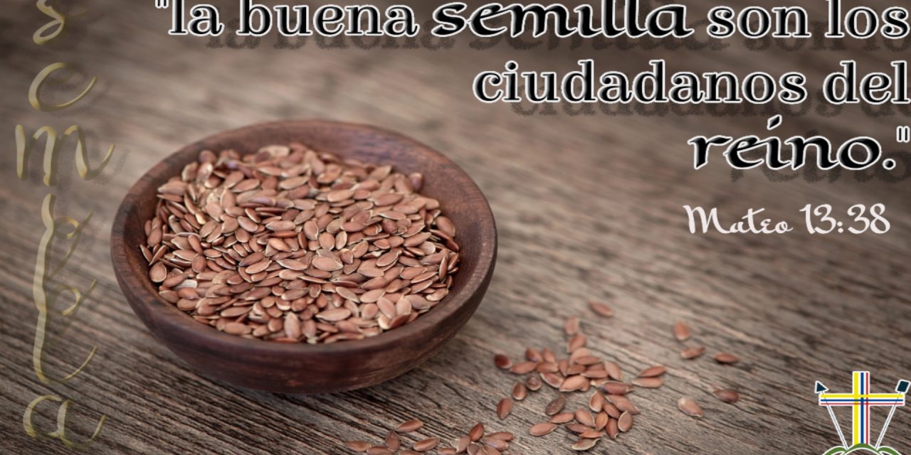 SEMILLAS DEL EVANGELIO