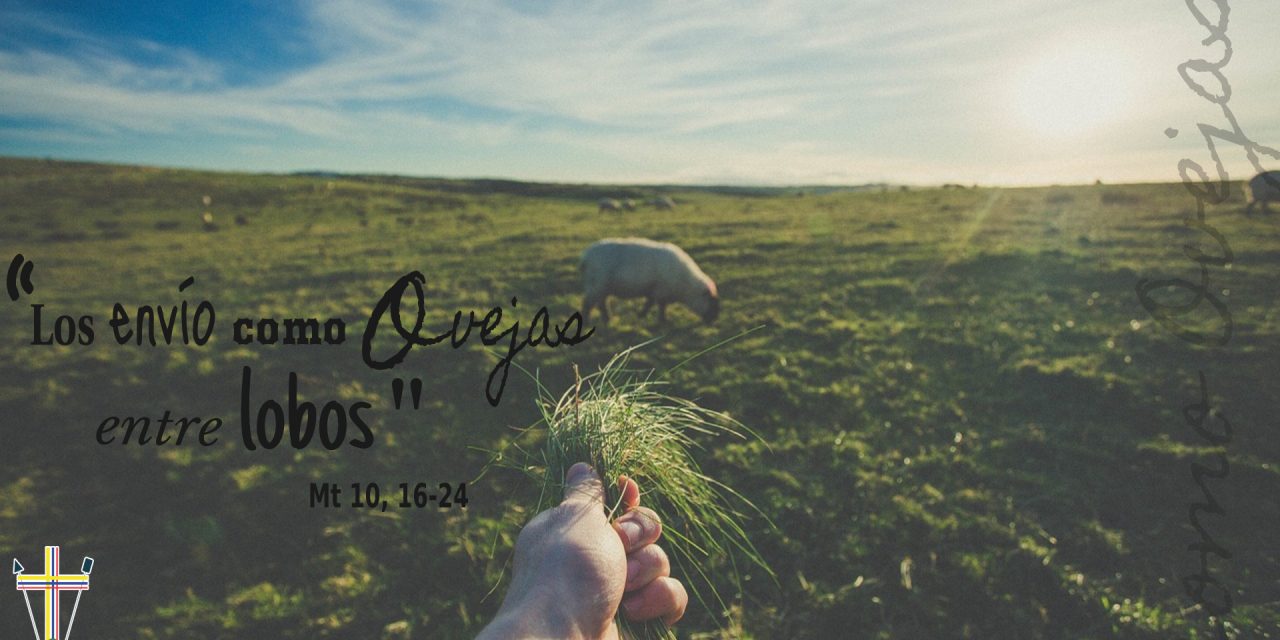 SEMILLAS DEL EVANGELIO