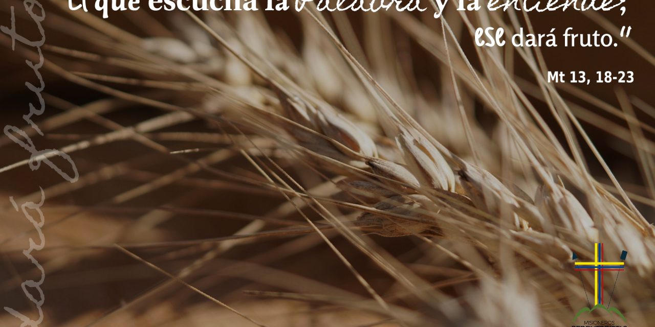 SEMILLAS DEL EVANGELIO