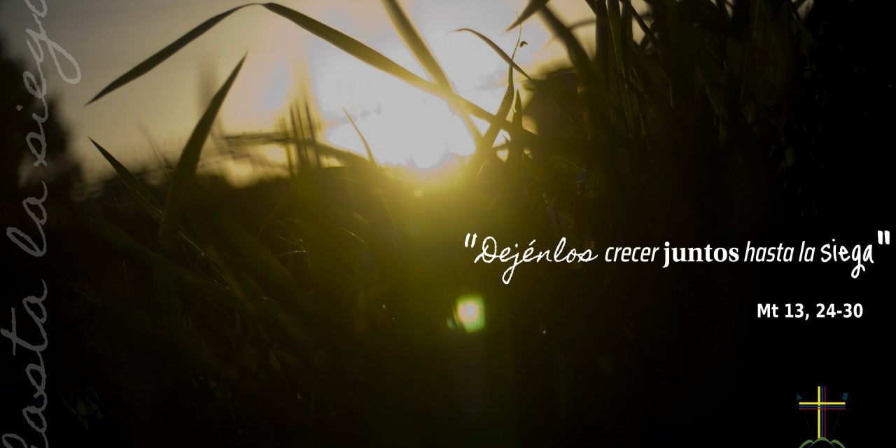 SEMILLAS DEL EVANGELIO