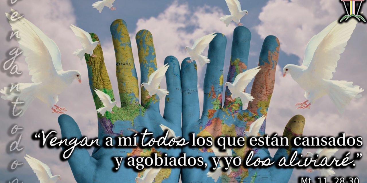 SEMILLAS DEL EVANGELIO