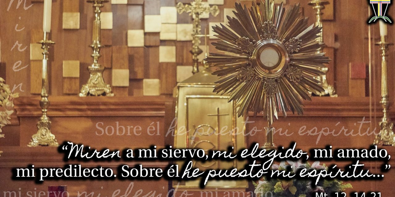 SEMILLAS DEL EVANGELIO