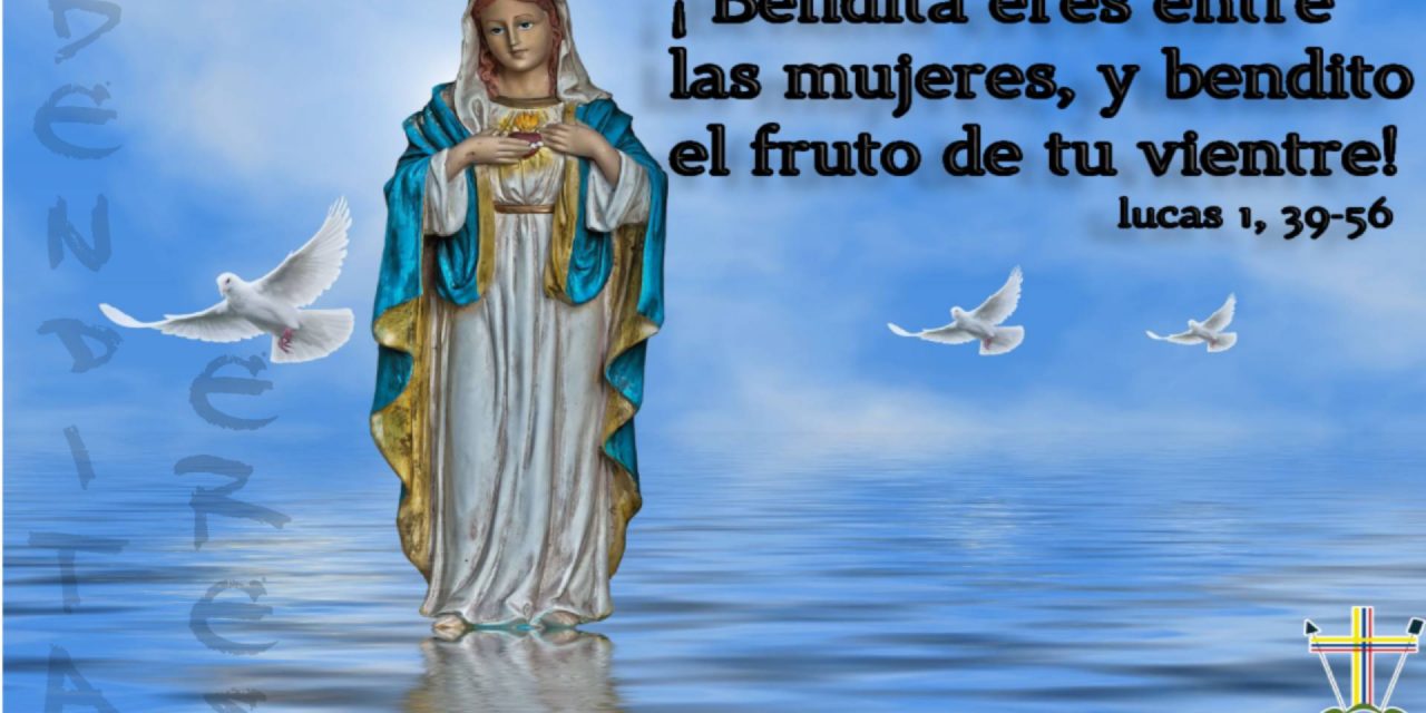SEMILLAS DEL EVANGELIO
