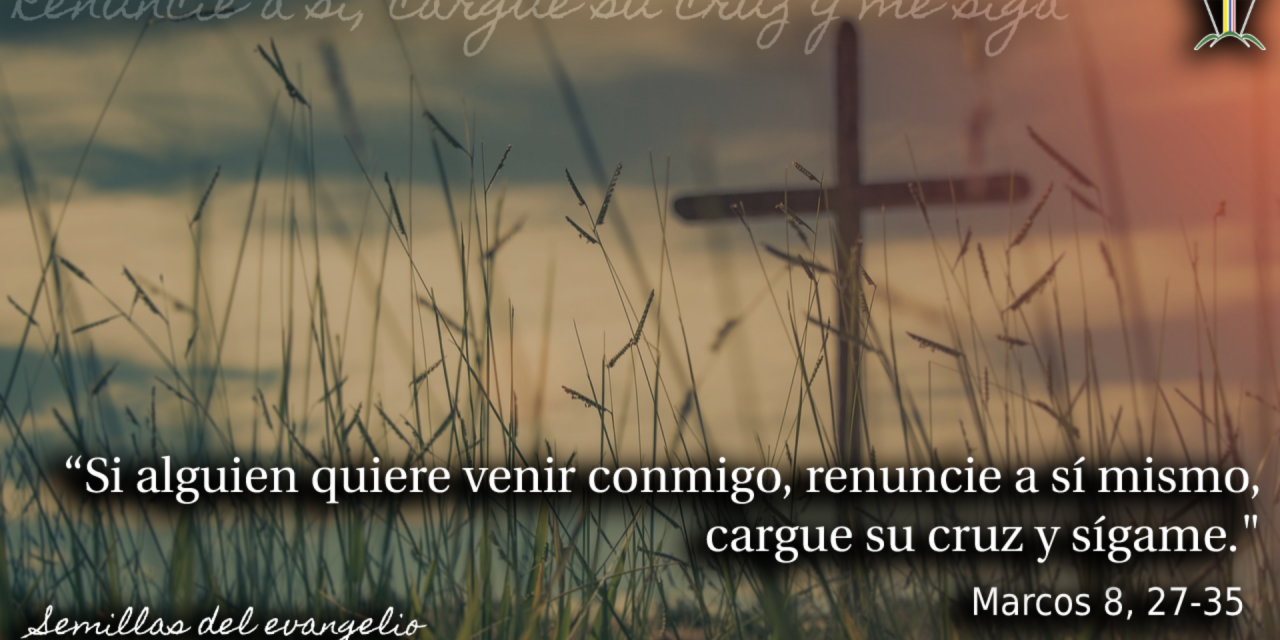 SEMILLAS DEL EVANGELIO