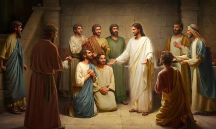 6 de septiembre: Llamados a ser apóstoles