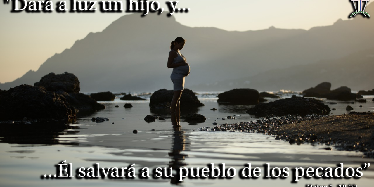SEMILLAS DEL EVANGELIO