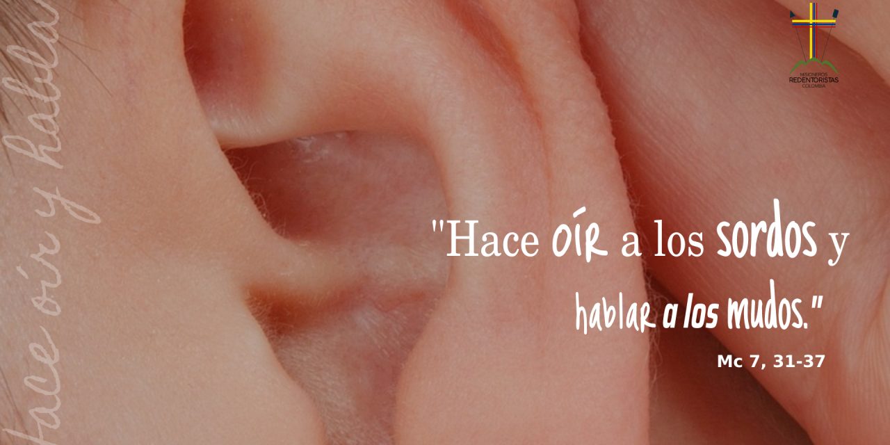 SEMILLAS DEL EVANGELIO