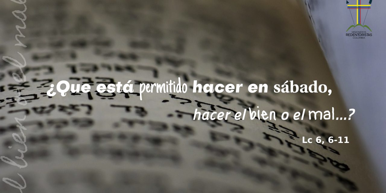 SEMILLAS DEL EVANGELIO