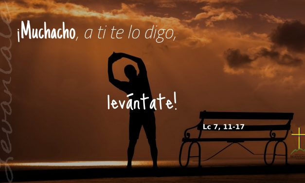 SEMILLAS DEL EVANGELIO