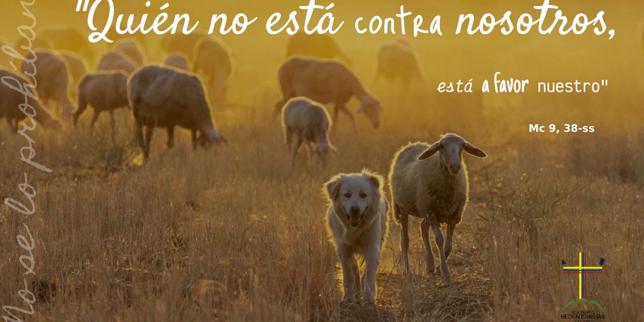 SEMILLAS DEL EVANGELIO